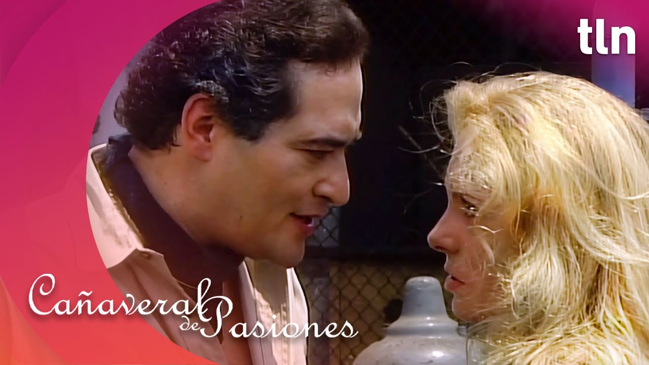 Dinorah descubre que Rufino es un asesino | Cañaveral de pasiones 3/3 | Capítulo 31 | tlnovelas