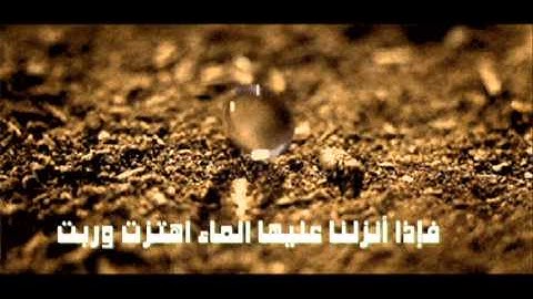 ومن آياته أنك ترى الأرض خاشعة فإذا أنزلنا عليها الماء