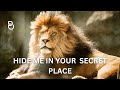 Hide Me In Your Secret Place | Prophetic Prayer Instrumental (Min. Theophilus Sunday)