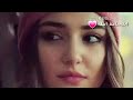 استنى جيتك ياعيوني عاشق الورد استنى جيتك ياعيوني عاشق الورد