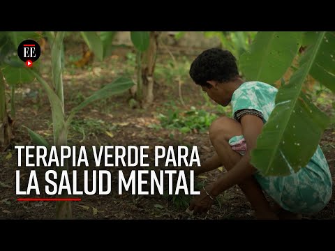 Video: Un jardín de fisioterapia: ¿Qué es la terapia hortícola?