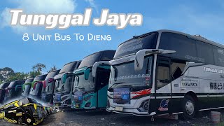 SERASA MAIN DI GARASI BUS TUNGGAL JAYA | Review Kids Panda, Black Pink, Jupiter,Mooneyes