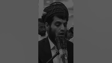 رعد محمد الكردي 🌝🤍 اجمل حالات واتس اب دينية سورة المائدة فيديو قصيره قرآن الكريم