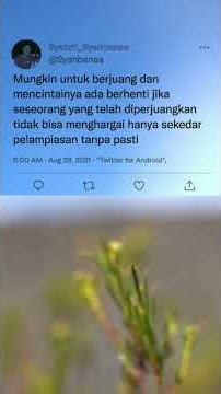 Story kata-kata Status WA twitter Terbaru #Shorts