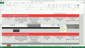 How to file tax returns for an Individual with employment income only using the excel return