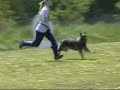 Turnierhundesport Vierkampf 2 (04/2007)