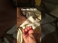 I Bet This Video Same Number Like And Comments #shorts #trend