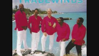 THE TRADEWINDS - I want to be a puppy chords