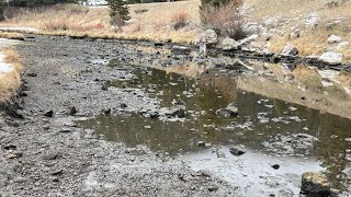 Update on the Upper Madison River