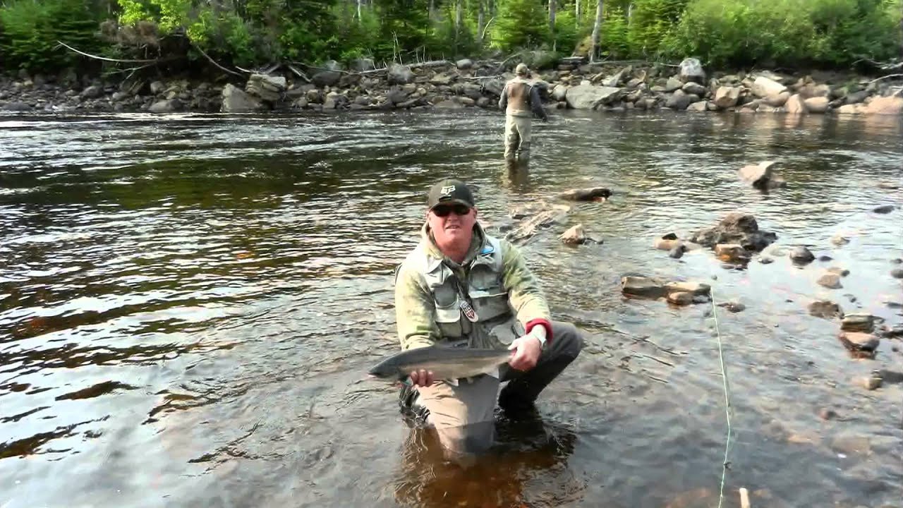 Atlantic Salmon Fishing Newfoundland 2013 YouTube