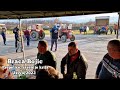 Braca Bojic - Prepelice, sarenije krila [Uzivo/2022]