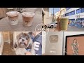 a week in my life 🧚 street cafes, oreo's grooming day, silver play button unboxing 🌟