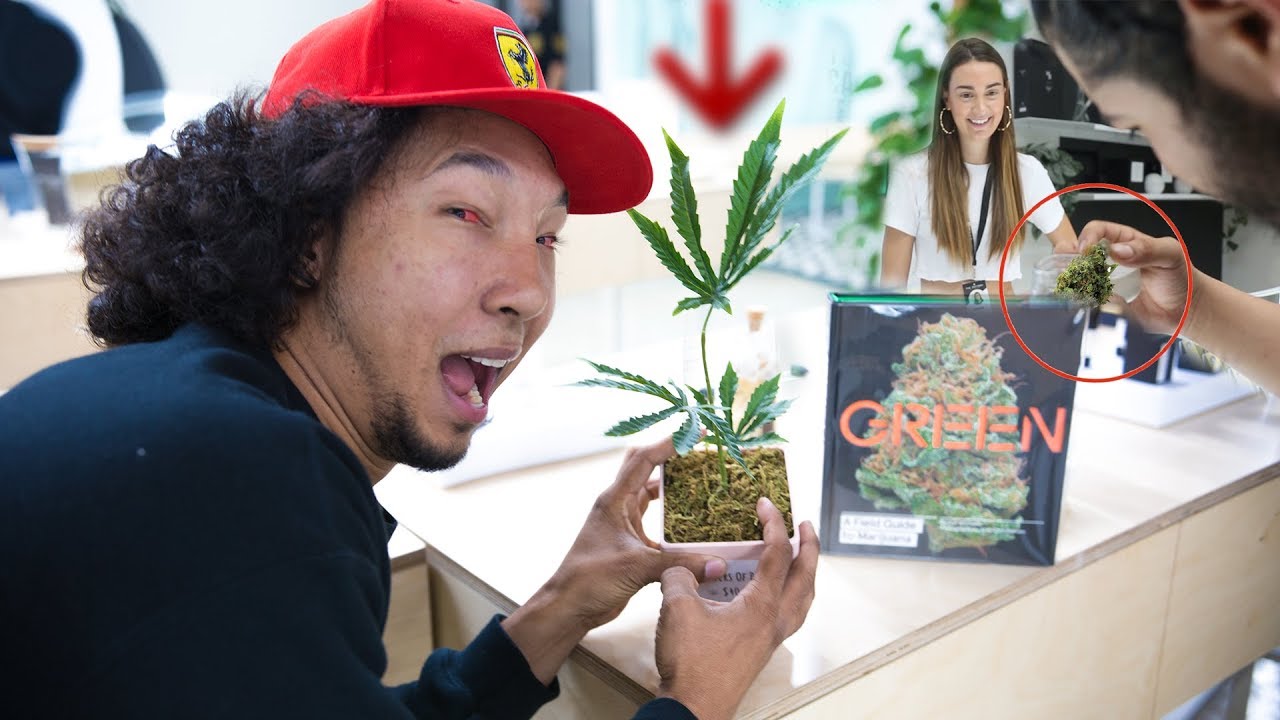 Comprando y fumando MAriHuana 100% LEGAL