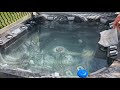 How to Keep Jacuzzi Water Clear. No Testing!!!!