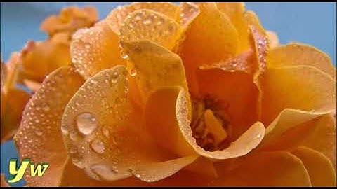 067  محمد طبلاوي Surat Al Mulk   سورة الملك