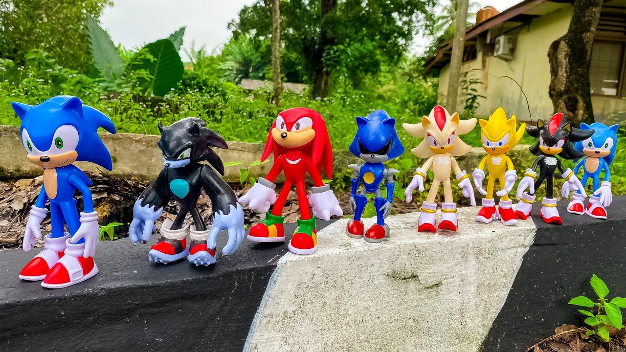 Sonic Hedgehog, Sonic Shadow, Knuckles, Tails, Metal Sonic, Super Sonic, Werehog, Super Shadow, Amy