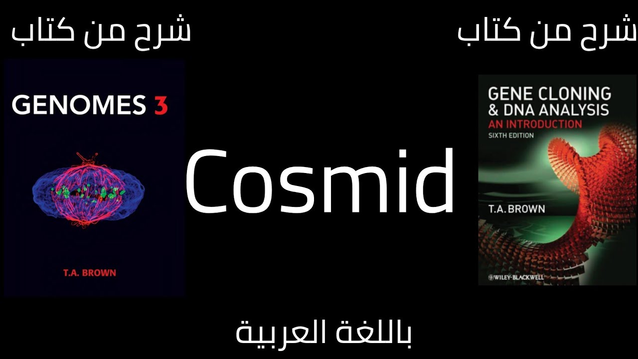 Cosmid vector | What is cosmid? |شرح بالعربي - YouTube
