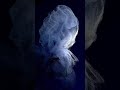 particle sim i. houdini. rendered in blender. #3d #blender #houdini #animation #asmr #motionsim