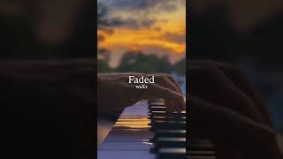 It feels like the birds are loving this waltz too 🕊️🎶 what about you #aesthetic #piano #calmbeats