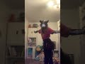 I fell at the end 😭 #furry #therian #song #dance
