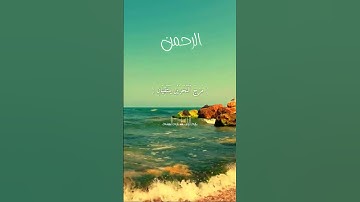 رب المشرقين ورب المغربين فبأي آلاء ربكما تكذبان #سورة_الرحمن #الرحمن #عبد_الباسط_عبد_الصمد #قرآن