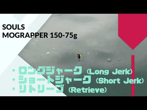 Carpenter(カーペンター) SeaFrog(シーフロッグ)evoⅡ 105使用インプレ ...
