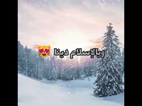 حالات واتس رضيتو بالله ربا وبالاسلام دينا ماهر زين 