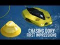 Budget Underwater Drone | Chasing Dory ROV - First Impressions | DansTube.TV