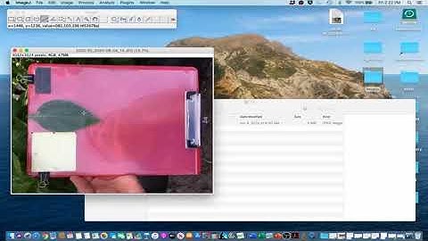 ImageJ Tutorial 3 - Non-destructively Measure Leaf Area