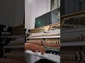 The Name of Life - Inochi No Name Joe Hisaishi #spiritedaway #joehisaishi #studioghibli #pianocover