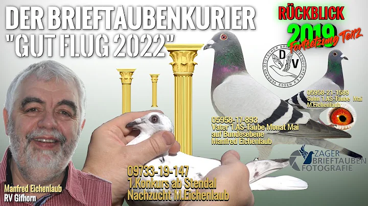 Der Brieftauben Kurier 01/22-Das Jungtaubenjahr 20...