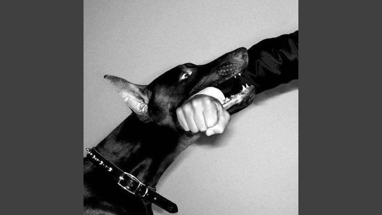 Watch MUTT on YouTube Watch MUTT on YouTube