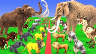 Giant Mammoth Elephant Cow Vs Giant Wild Boar Vs 5 Giant Lion Tiger Wolf Cub Saved By Woolly Mammoth
