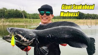 Topwater Madness with Rapala BX Skitter Frog! | Giant Snakehead Toman Fishing
