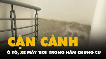 Cận cảnh ô tô, xe máy 