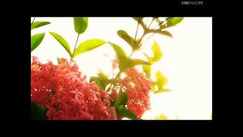 سورة البقرة (الجزء الثاني)......... بصوت إسلام صبحي 🌹🔥