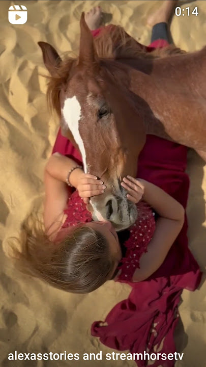 Nothing beats the love and bond from a horse - a true soul connection ✨️🐴