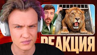 видео: КРАНЧ СМОТРИТ ▶ Я Спас 1000 Животных От Гибели (реакция) картинка: КРАНЧ СМОТРИТ ▶ Я Спас 1000 Животных От Гибели (реакция)