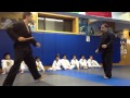 Sensei Arkadiy and Sensei Steve MMA Techniques