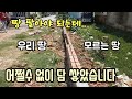 [캄보디아] 땅 팔려고 준비중인데 옆집 땅 때문에 담을 쌓았습니다