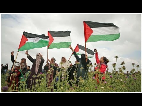 Video: Israel Tilbageholder Internationalt Hjælpsskib, Der Er Bundet Af Gaza - Matador Network