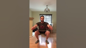 Band pause squat