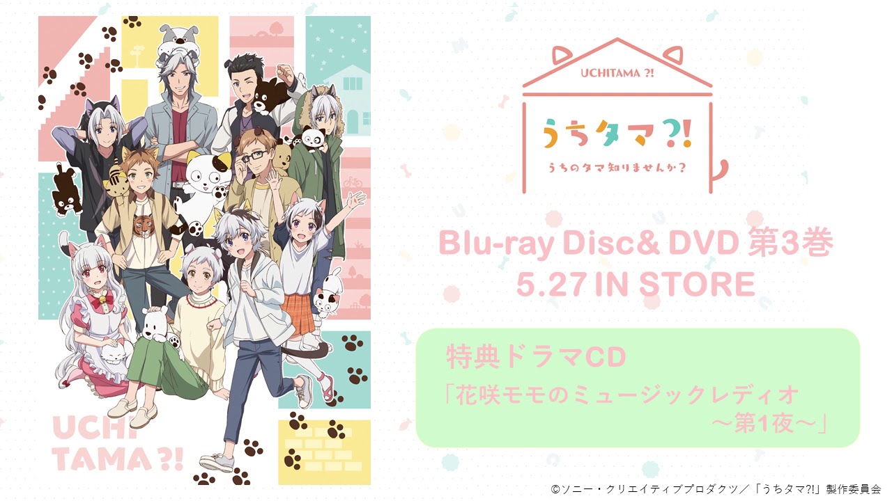 Blu-ray&DVD | TVアニメ「うちタマ⁈ ～うちのタマ知りませんか