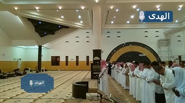 "أَمَّن يُجِيبُ الْمُضْطَرَّ" أروع التراتيل الخاشعة للقارئ فيصل الهاجري