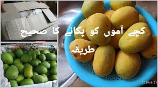 kacche aam |Mango| ko pakane Ka Sahi tarika. ||Khalid Bhai