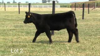 Lot 2