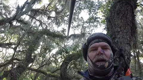 Blackbeard Island NWR 2018 uncut