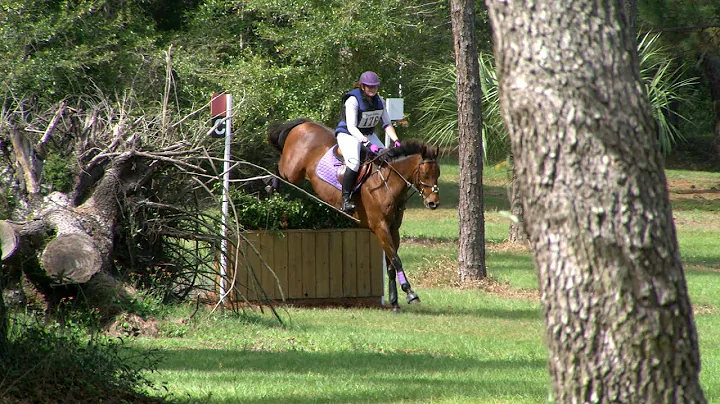 Kathleen Abrams  "Spintastic"  Three Lakes Horse T...