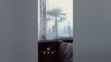 سورة الفجر ✨