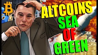 Crypto News Today - Altcoins Sea Of Green